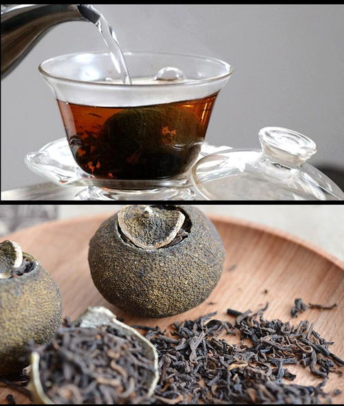 匠心融合，歲月陳香 品鑒新會(huì)陳皮與勐海普洱的至臻邂逅