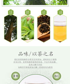 青錢柳茶葉攝影藝術(shù) 南陽(yáng)淘邦以光影雕琢茶品靈魂