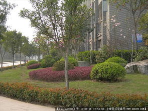 校園景觀集錦 從實(shí)景照片到設(shè)計(jì)施工圖紙的全景解析